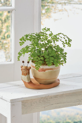 Stoneware Snail Planter, 2-Piece Set
